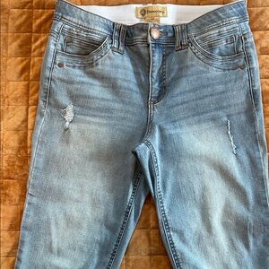 Democracy Women's Faded Blue Skinny Jeans